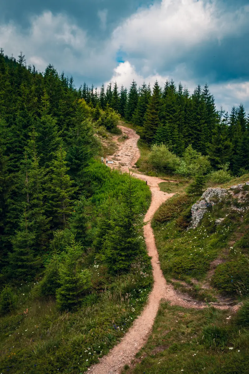 Wunderschöne Landschaft eines Weges auf einem Hügel, umgeben von viel Grün unter einem bewölkten Himmel